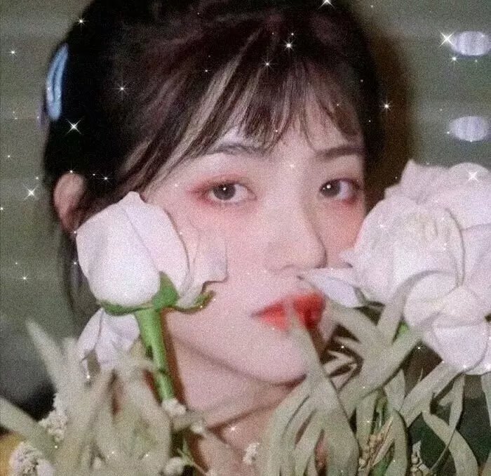 王朝的陷落